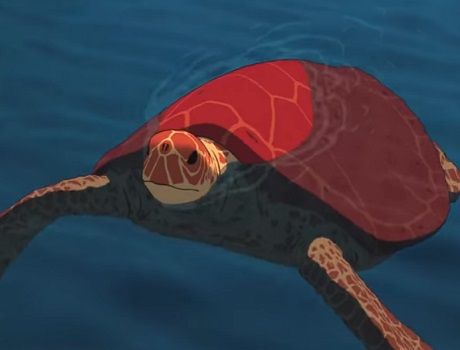 A vörös teknős mese előzetes